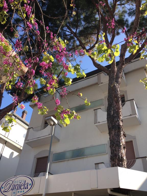 Hotel Daniela ريميني المظهر الخارجي الصورة
